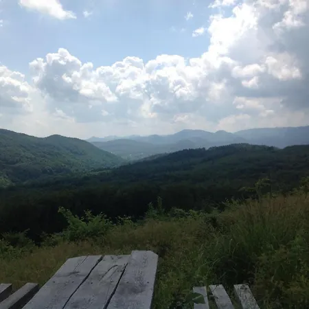 Medvezha *